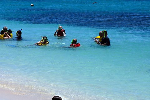 Ocean Spirit Michaelmas Cay Dive And Snorkel Cruise From Palm Cove - Goulburn Accommodation 1