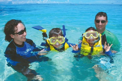 Ocean Spirit Michaelmas Cay Dive And Snorkel Cruise From Palm Cove - Goulburn Accommodation 5