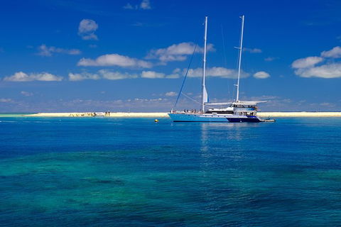 Ocean Spirit Michaelmas Cay Dive And Snorkel Cruise From Palm Cove - Goulburn Accommodation 3