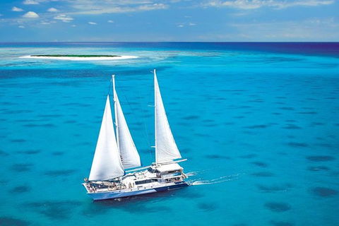 Ocean Spirit Michaelmas Cay Dive And Snorkel Cruise From Palm Cove - Goulburn Accommodation 8