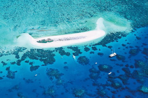Ocean Spirit Michaelmas Cay Dive And Snorkel Cruise From Palm Cove - Goulburn Accommodation 7