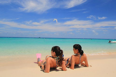 Ocean Spirit Michaelmas Cay Dive And Snorkel Cruise From Palm Cove - Goulburn Accommodation 2
