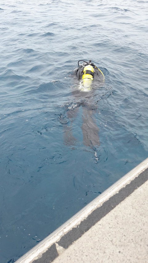 Great Barrier Reef Cruise From Townsville Or Magnetic Island - Goulburn Accommodation 4