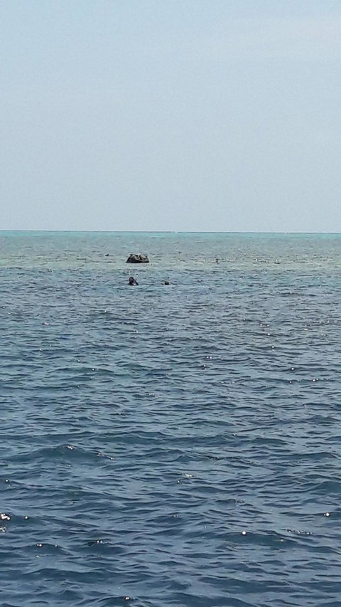 Great Barrier Reef Cruise From Townsville Or Magnetic Island - Goulburn Accommodation 2