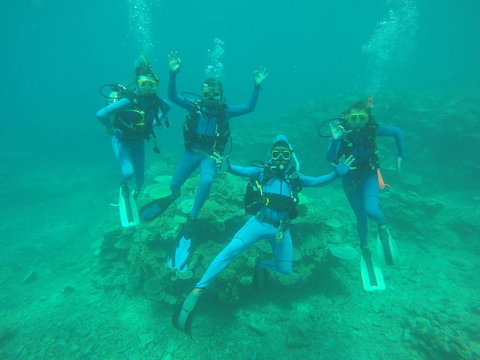 Great Barrier Reef Cruise From Townsville Or Magnetic Island - Goulburn Accommodation 5