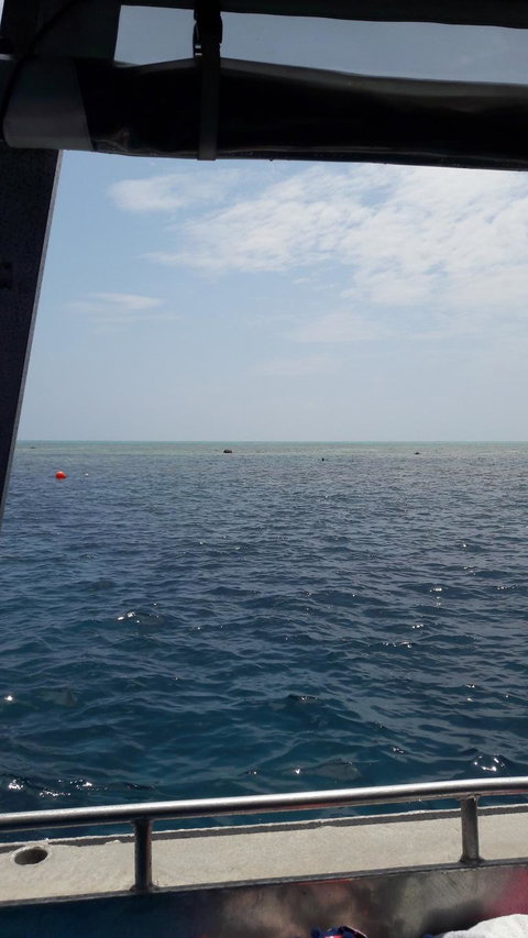 Great Barrier Reef Cruise From Townsville Or Magnetic Island - Goulburn Accommodation 3