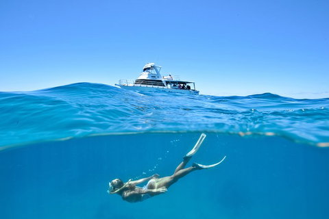 Great Barrier Reef Cruise From Townsville Or Magnetic Island - Goulburn Accommodation 10