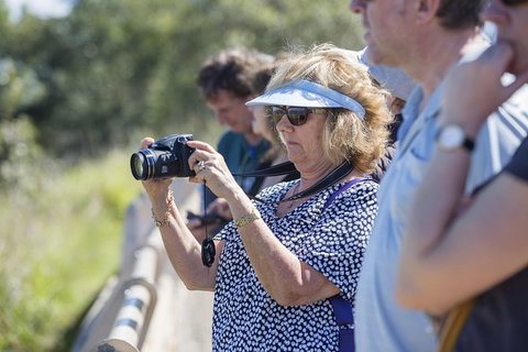 Townsville City Sightseeing Tour - Goulburn Accommodation 1