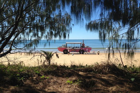 1770 Coastline Tour By LARC Amphibious Vehicle Including Picnic Lunch - Goulburn Accommodation 2