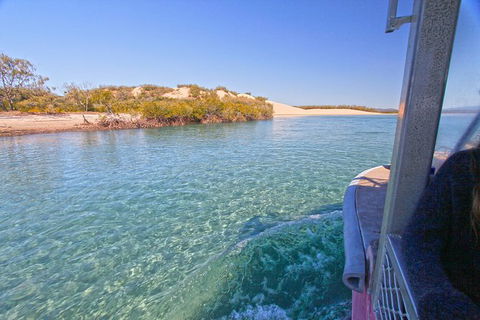 1770 Coastline Tour By LARC Amphibious Vehicle Including Picnic Lunch - Goulburn Accommodation 12