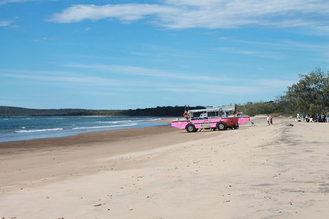 1770 Coastline Tour By LARC Amphibious Vehicle Including Picnic Lunch - Goulburn Accommodation 6