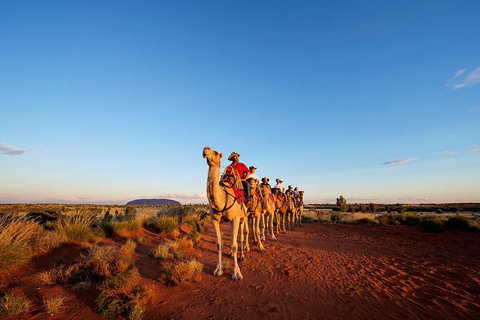 Uluru Small-Group Tour By Camel At Sunrise Or Sunset - Goulburn Accommodation 0
