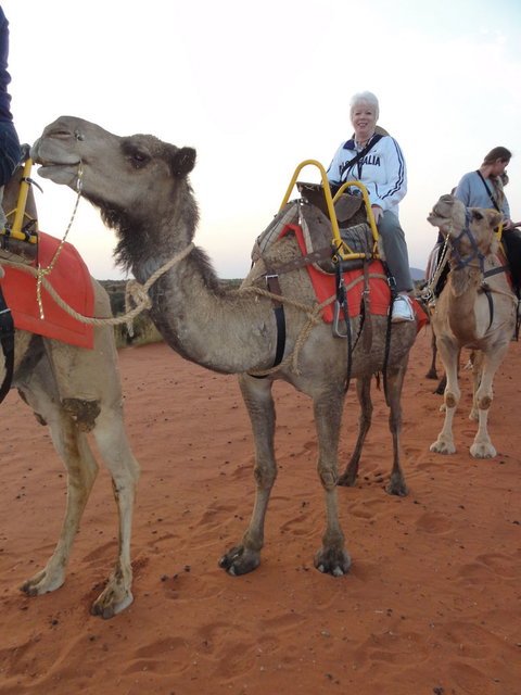 Uluru Small-Group Tour By Camel At Sunrise Or Sunset - Goulburn Accommodation 2