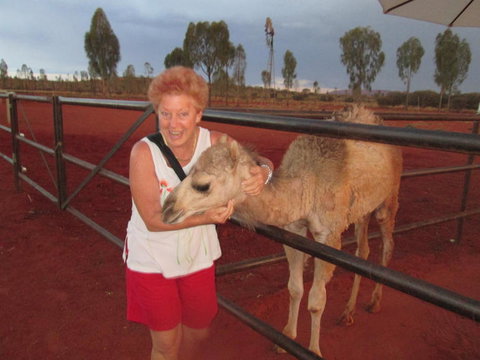 Uluru Small-Group Tour By Camel At Sunrise Or Sunset - Goulburn Accommodation 18