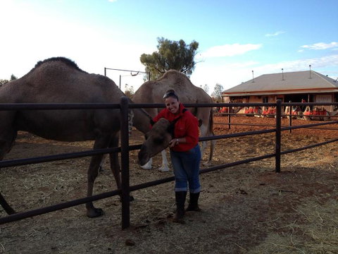 Uluru Small-Group Tour By Camel At Sunrise Or Sunset - Goulburn Accommodation 21