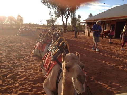 Uluru Small-Group Tour By Camel At Sunrise Or Sunset - Goulburn Accommodation 22