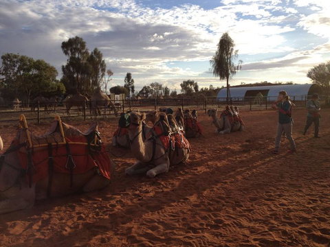 Uluru Small-Group Tour By Camel At Sunrise Or Sunset - Goulburn Accommodation 23