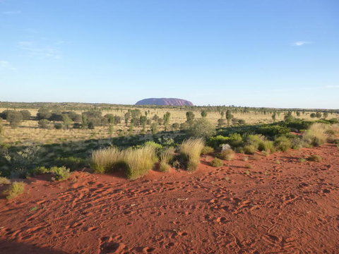 Uluru Small-Group Tour By Camel At Sunrise Or Sunset - Goulburn Accommodation 9
