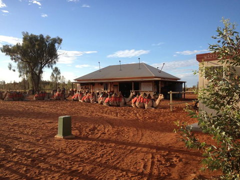 Uluru Small-Group Tour By Camel At Sunrise Or Sunset - Goulburn Accommodation 20