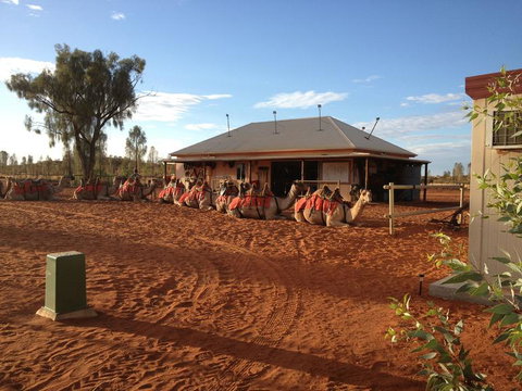 Uluru Small-Group Tour By Camel At Sunrise Or Sunset - Goulburn Accommodation 19