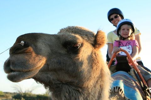 Uluru Small-Group Tour By Camel At Sunrise Or Sunset - Goulburn Accommodation 3