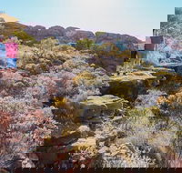 Kings Canyon Day Trip from Ayers Rock - Goulburn Accommodation