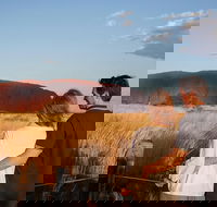 Uluru Ayers Rock Sunset with Outback Barbecue Dinner and Star Tour - Goulburn Accommodation