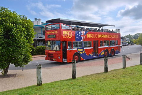 Darwin Shore Excursion: Hop-on Hop-off Bus Tour - Goulburn Accommodation 0