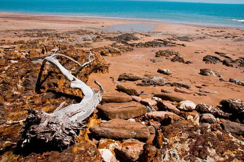 Darwin Shore Excursion: Hop-on Hop-off Bus Tour - Goulburn Accommodation 9