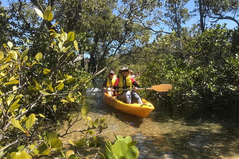 Paddle In Paradise - 4 Hours Double Kayak Hire - Goulburn Accommodation 1