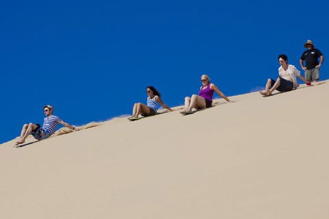 Port Stephens Day Tour From Sydney Including 4WD, Sandboarding And Dolphins - Goulburn Accommodation 1