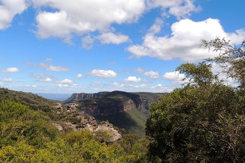 Inside The Greater Blue Mountains World Heritage - A Wildlife Safari Overnight - Goulburn Accommodation 1