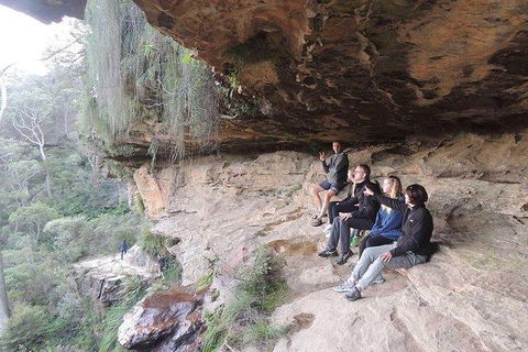 Inside The Greater Blue Mountains World Heritage - A Wildlife Safari Overnight - Goulburn Accommodation 5