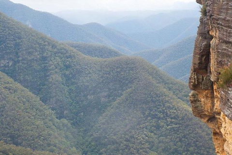 Inside The Greater Blue Mountains World Heritage - A Wildlife Safari Overnight - Goulburn Accommodation 29