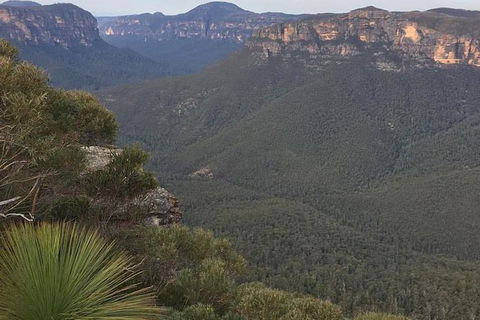 Inside The Greater Blue Mountains World Heritage - A Wildlife Safari Overnight - Goulburn Accommodation 25