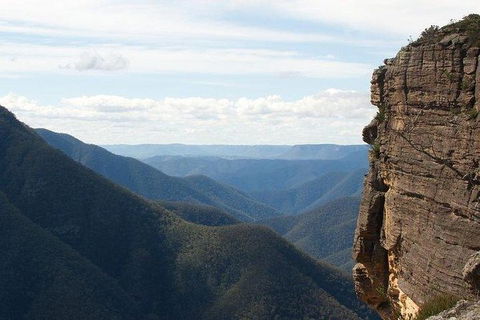 Inside The Greater Blue Mountains World Heritage - A Wildlife Safari Overnight - Goulburn Accommodation 33