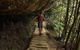 Inside The Greater Blue Mountains World Heritage - A Wildlife Safari Overnight - thumb 26