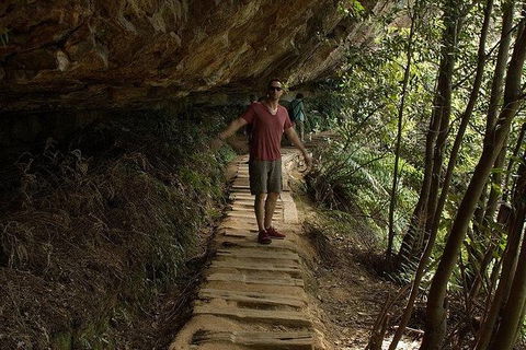 Inside The Greater Blue Mountains World Heritage - A Wildlife Safari Overnight - Goulburn Accommodation 26