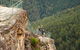 Inside The Greater Blue Mountains World Heritage - A Wildlife Safari Overnight - thumb 13