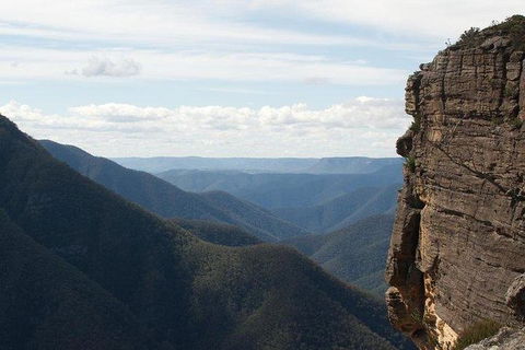 Inside The Greater Blue Mountains World Heritage - A Wildlife Safari Overnight - Goulburn Accommodation 31