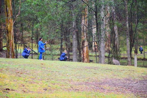 Inside The Greater Blue Mountains World Heritage - A Wildlife Safari Overnight - Goulburn Accommodation 4