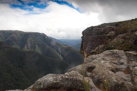 Inside The Greater Blue Mountains World Heritage - A Wildlife Safari Overnight - Goulburn Accommodation 6