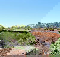 Bladensburg National Park - Goulburn Accommodation