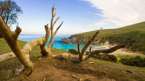 Blowhole Beach - Goulburn Accommodation 0