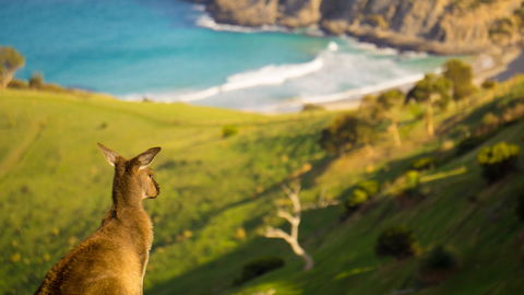 Blowhole Beach - Goulburn Accommodation 1