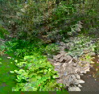 Brindle Creek Walking Track - Goulburn Accommodation