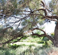 Gathercole Nature Reserve - Goulburn Accommodation