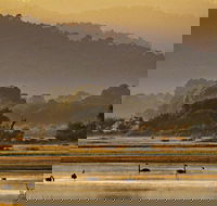 Greens Beach - Goulburn Accommodation