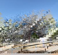 Gregory's Tree Timber Creek - Goulburn Accommodation