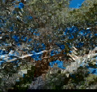 Holey Plains State Park - Goulburn Accommodation